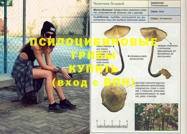 гидра Баксан